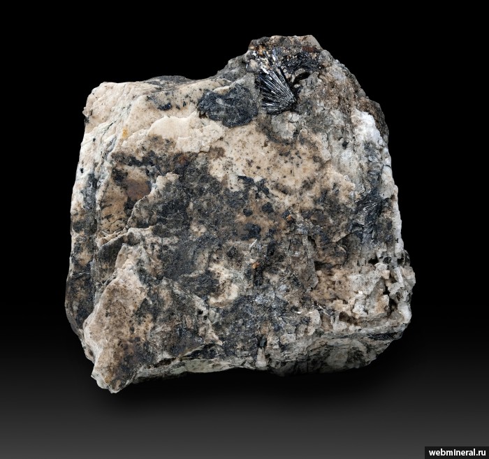 ���������� �������� ������. �������� � 24 (����������).