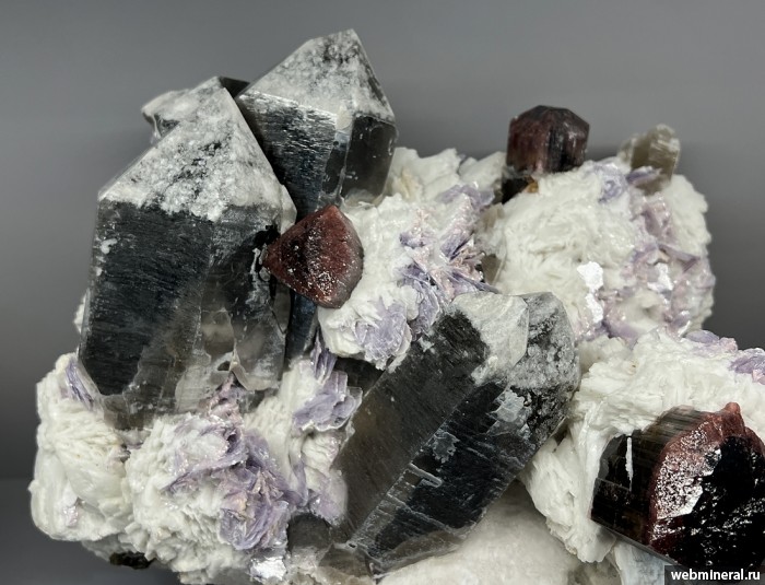 ���������� �������� �������, �����, ������, ���������. ������� ����.