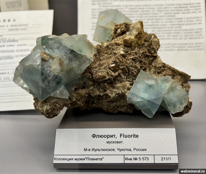 ���������� �������� �������, ��������. ����������� (W-Sn) �������������.