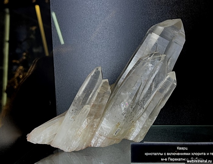 ���������� �������� �����. ���������� �������������.