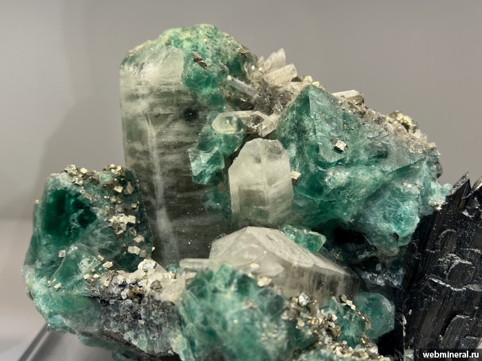 ���������� �������� ����������, �������, �����, �����. ����-��� (W-Mo) �������������.