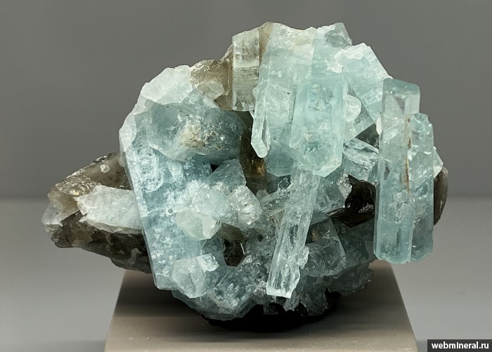 ���������� �������� ������, �����. ������� (W-Mo) �������������.