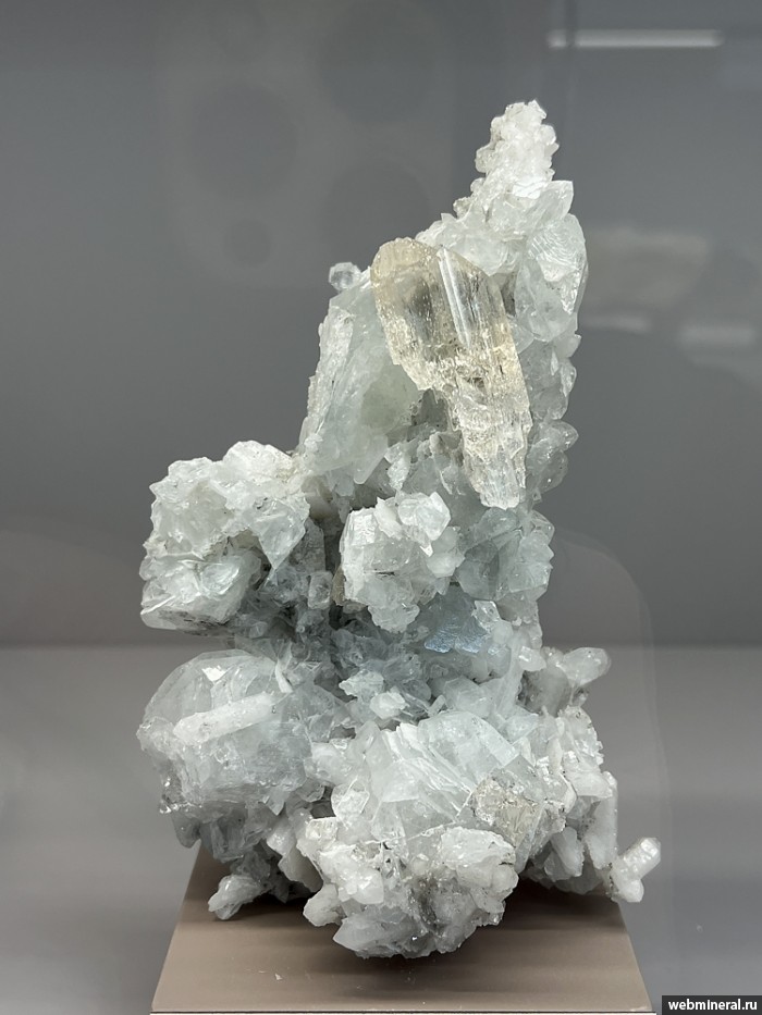 ���������� �������� ��������, �������, �����. ��� ������.