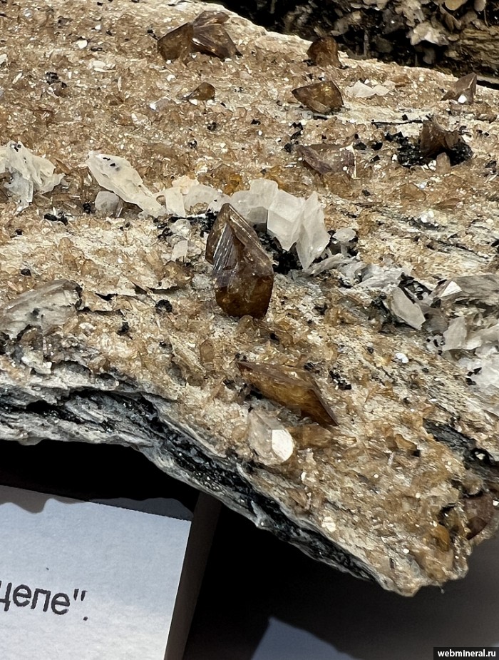 ���������� �������� �������, �������. ���� �������������.