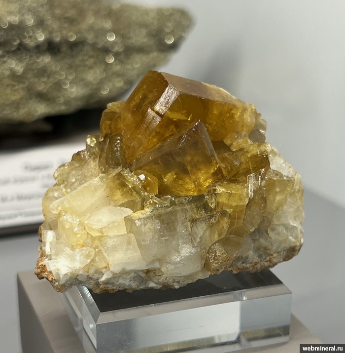 ���������� �������� �����. ������� ����������.