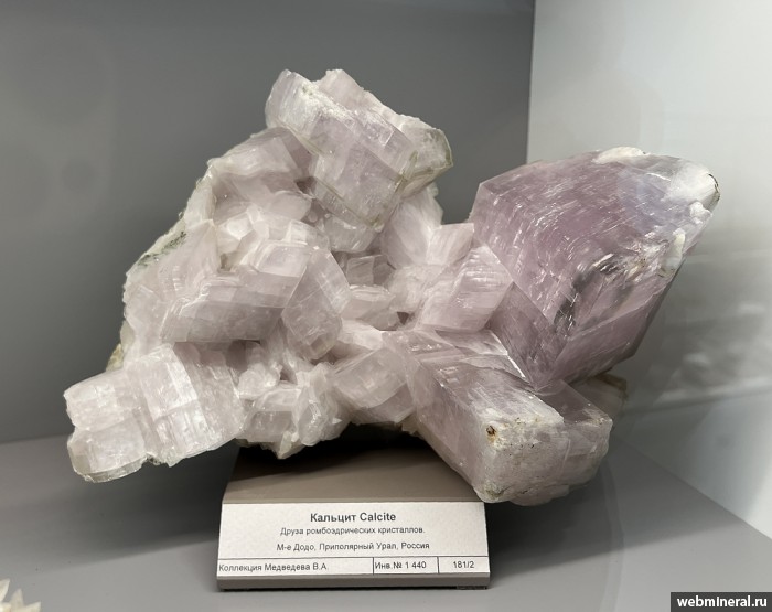 ���������� �������� �������. ���� �������������.