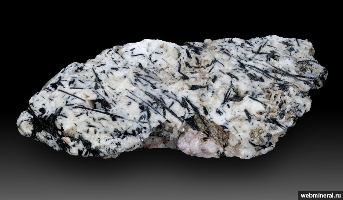 ���������� �������� ������, ������. ���� � 50.