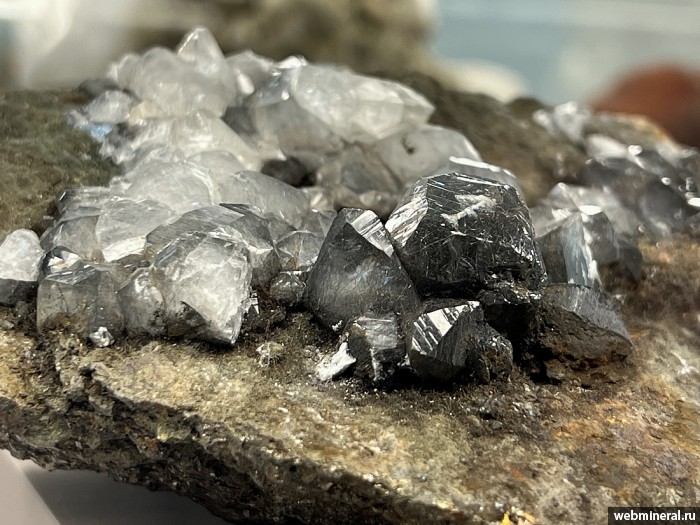 ���������� �������� �������, �������. ���������� ������ ���� (����� ������).