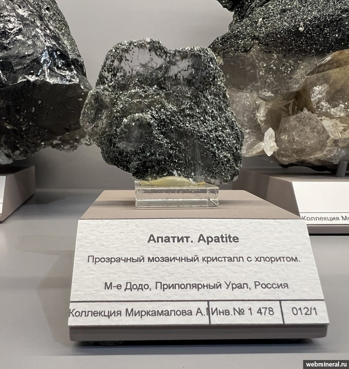 ���������� �������� ����������. ���� �������������.