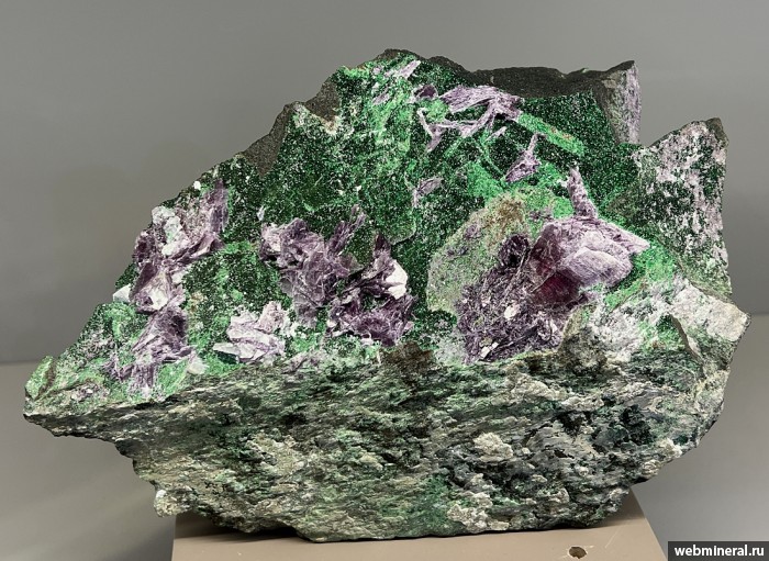 ���������� �������� �������, ��������. ������� ����������� (Cr) �������������.