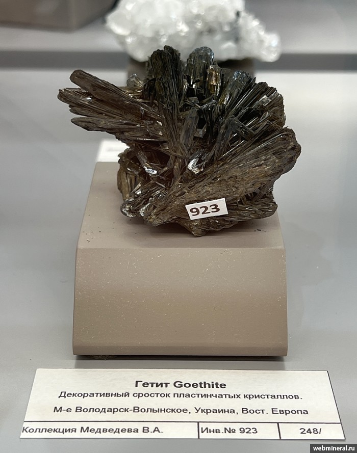 ���������� �������� ø���. ����� � 2.