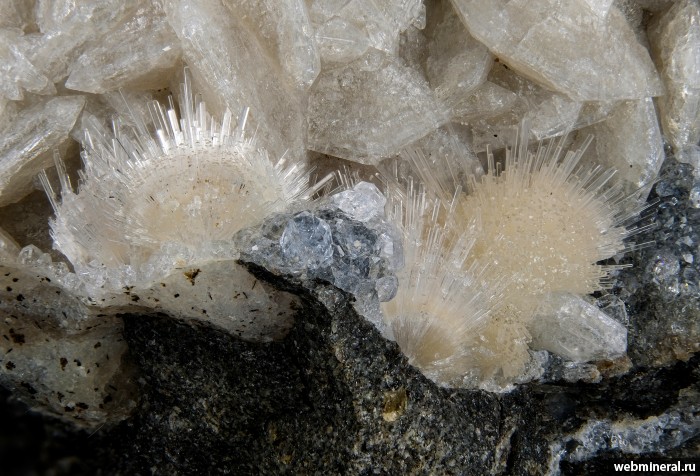 ���������� �������� ��������, �������-Ca. ������ ������.