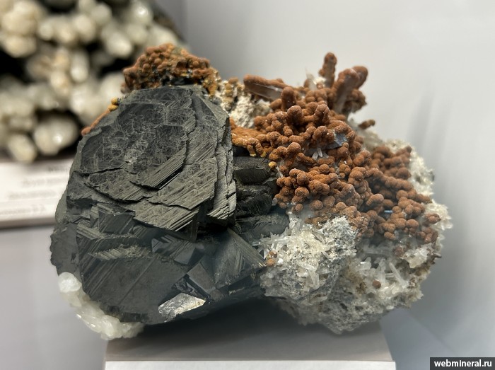 ���������� �������� ��������, �����, �������. ������������ ������.