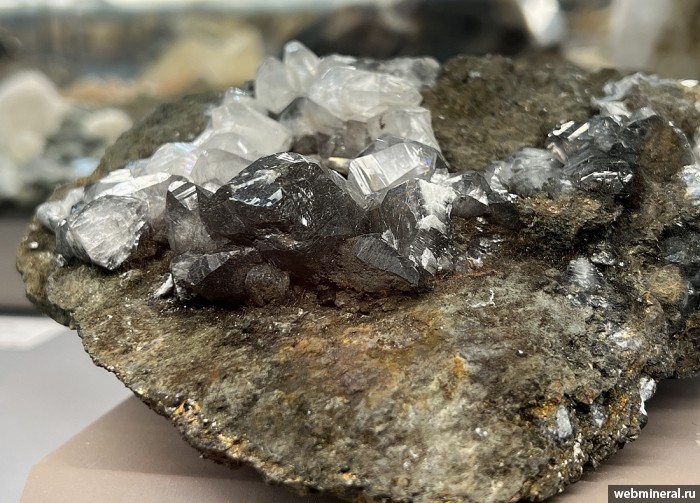 ���������� �������� �������, �������. ���������� ������ ���� (����� ������).