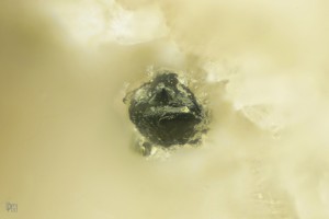 . - .   . webmineral.ru