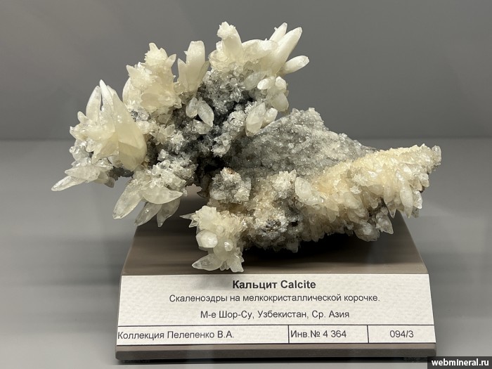 ���������� �������� �������. ����� (S) �������������.