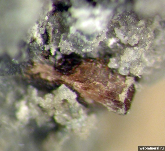 .   . webmineral.ru
