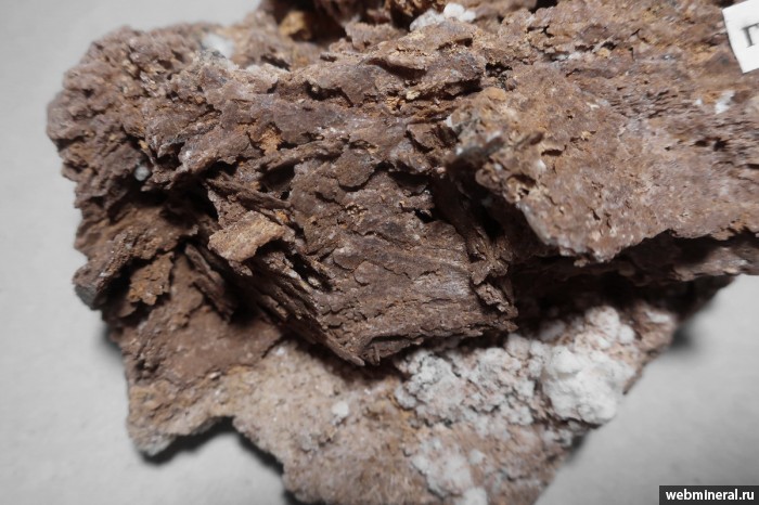 ���������� �������� ����. ������� ������.