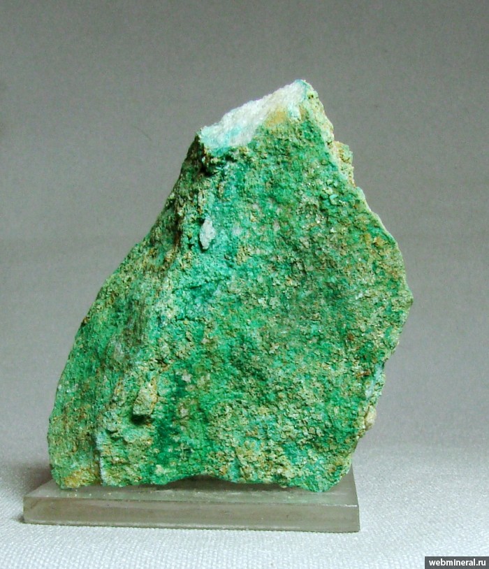 ���������� �������� ���������. ���������� ���������� �������.