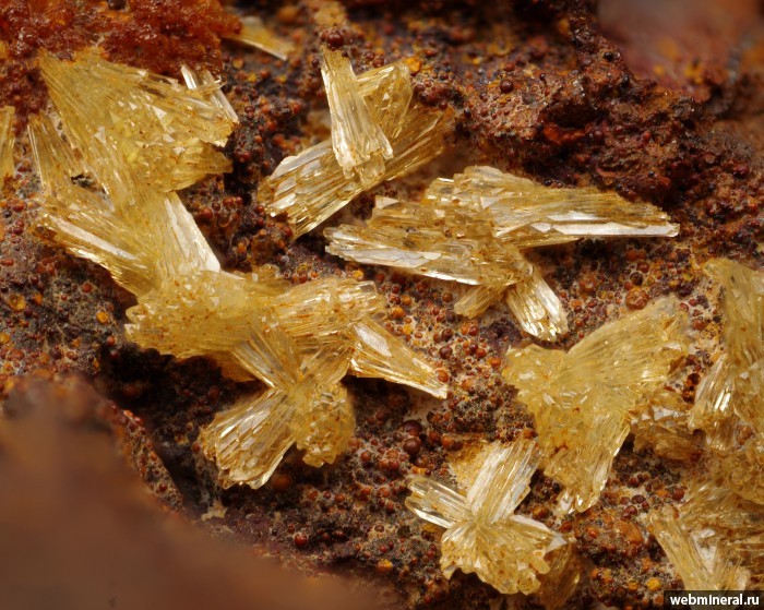 ���������� �������� ������. ���������� ������.