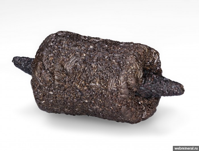 ���������� �������� �����. ��������� ����.