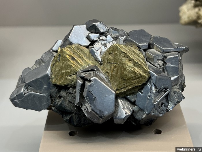 ���������� �������� �����������, �������. ������������ ������.