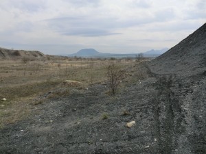     .  .   . webmineral.ru