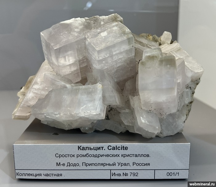 ���������� �������� �������. ���� �������������.