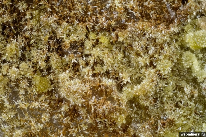 ���������� �������� �������. ����������� (Au-As) �������������.