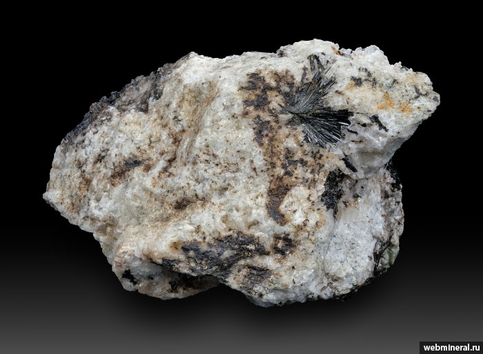 ���������� �������� ������. �������� � 24 (����������).