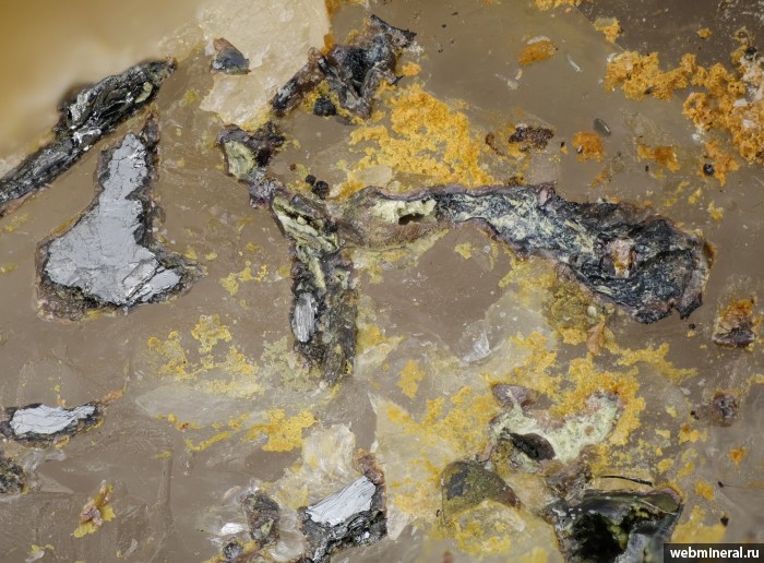 ���������� �������� ����������, ��������. ������������ (Be) ��������������.