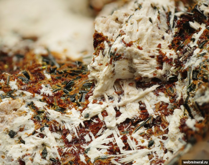 ���������� �������� ����������-Zn. �������� � 61.