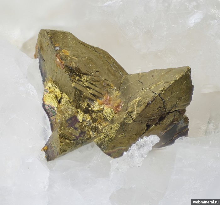 ���������� �������� �����������, �������. ����������� �����.