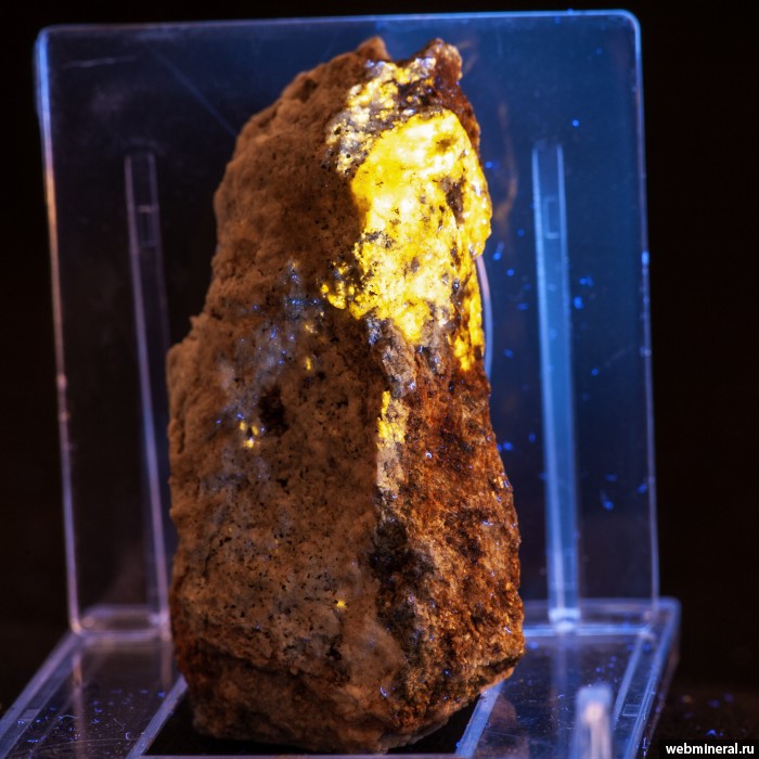 ���������� �������� ��������, ��������, �������, �������. ���������� ������������� ��������.