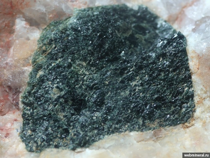 ���������� �������� �����. ��������� �������������.