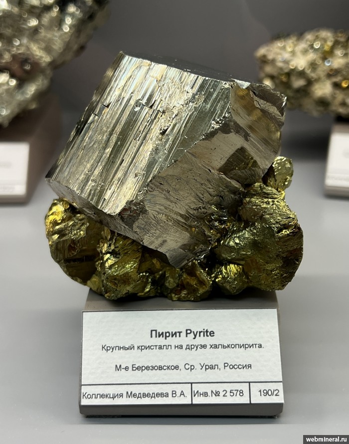 ���������� �������� �����, �����������. ���������� (Au) ������������� (������ ����).