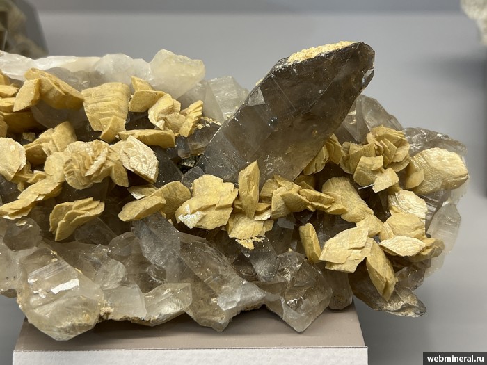 ���������� �������� �������, �����. ���������� (Au) ������������� (������ ����).