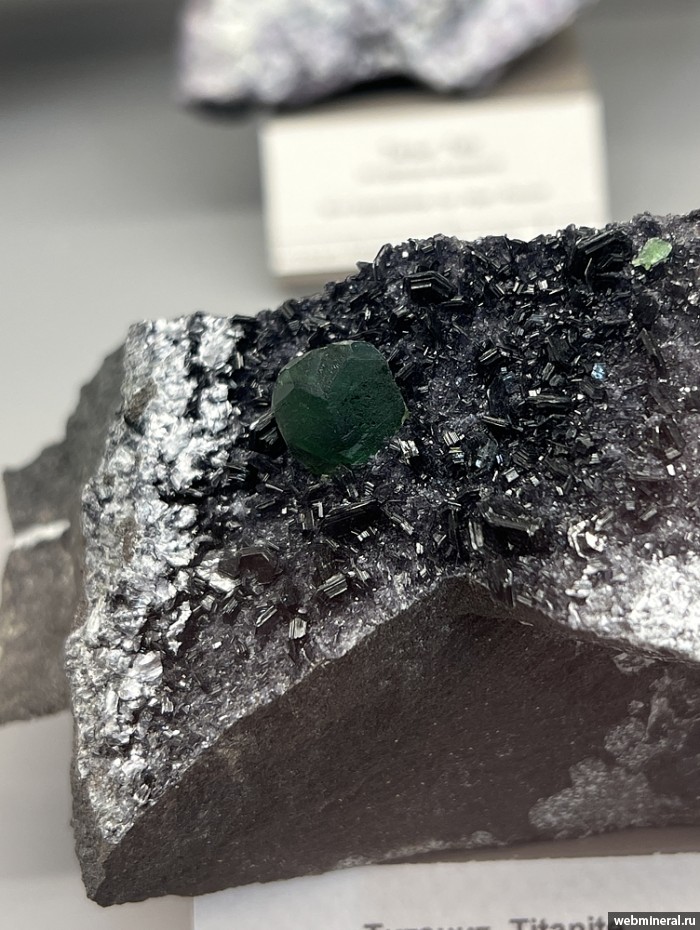 ���������� �������� �������. ������� ����������� (Cr) �������������.