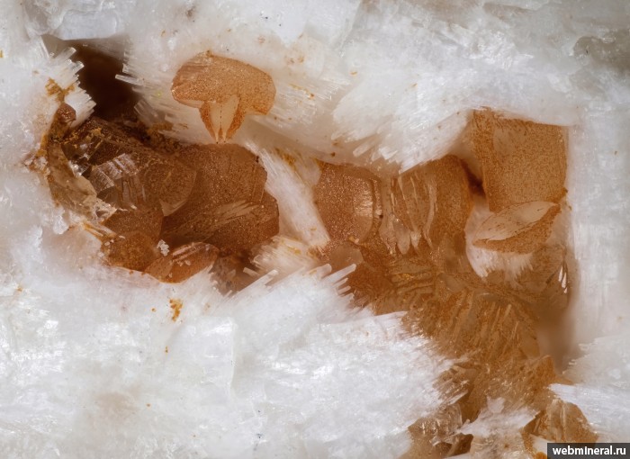 ���������� �������� �����, �������, ��������. ���� � 2.