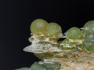 .  .   . webmineral.ru