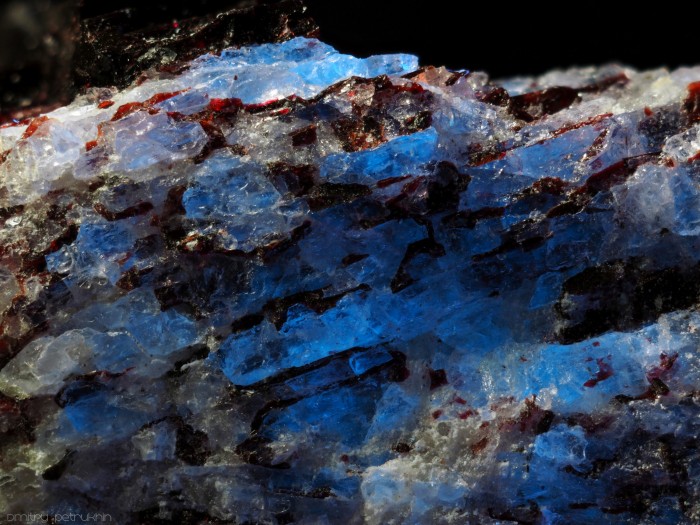 ���������� �������� ���������. ������ ������.