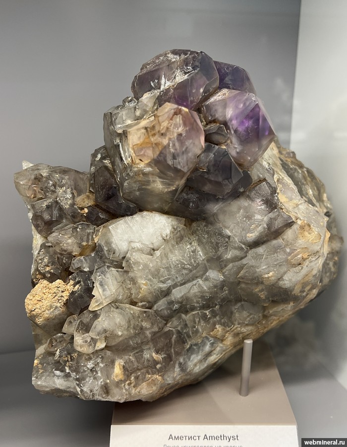 ���������� �������� ����� ����. (�������). ���� ������� ��������.