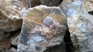 ���� �������� ��� 