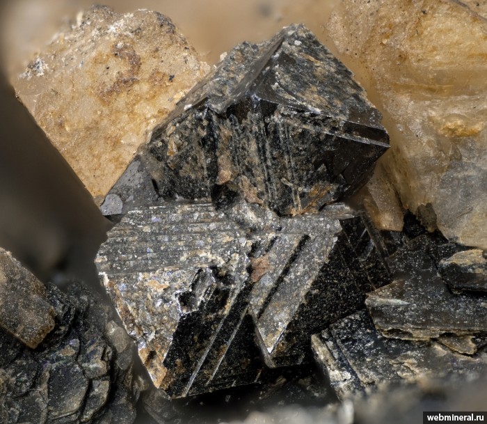 ���������� �������� ��������. ���� � 37.