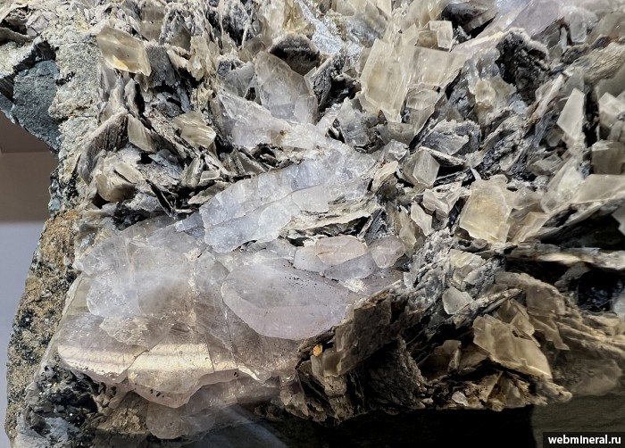 ���������� �������� ����������, �������, ������. ���� �������������.