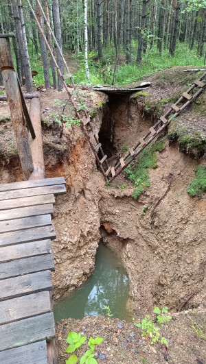 ���� ����������