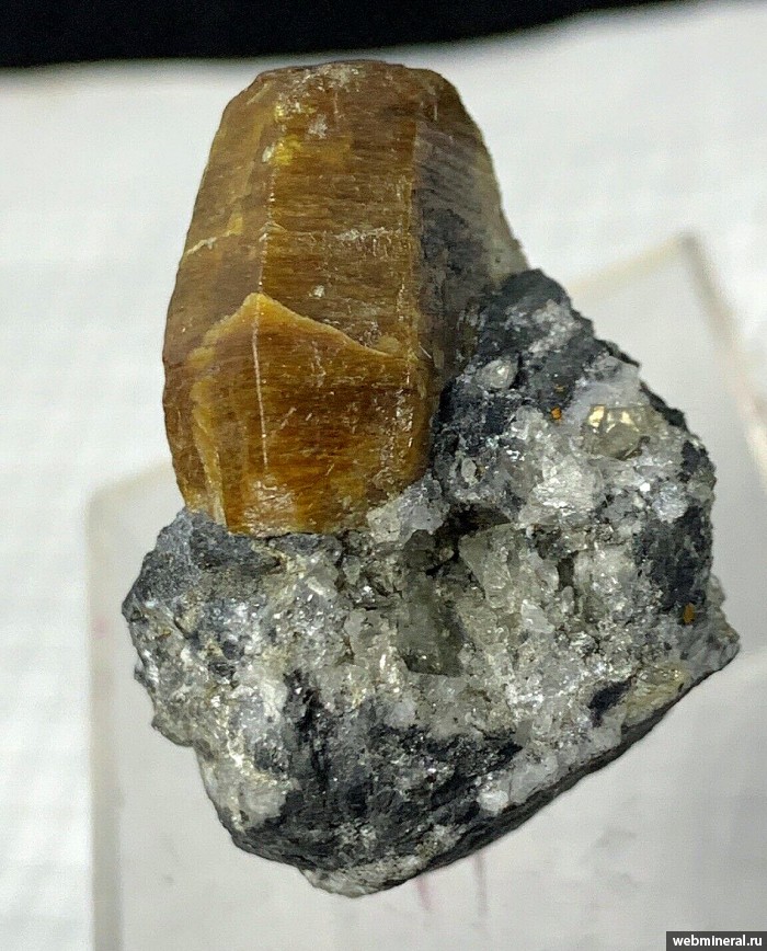   -(Ce), , , , . Muzo Emerald Mine, Muzo Municipality, Boyaca Department.