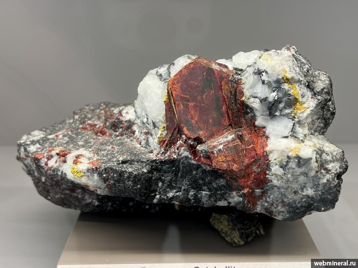 ���������� �������� ���������, �������, �����������. ��������� (Hg) �������������.