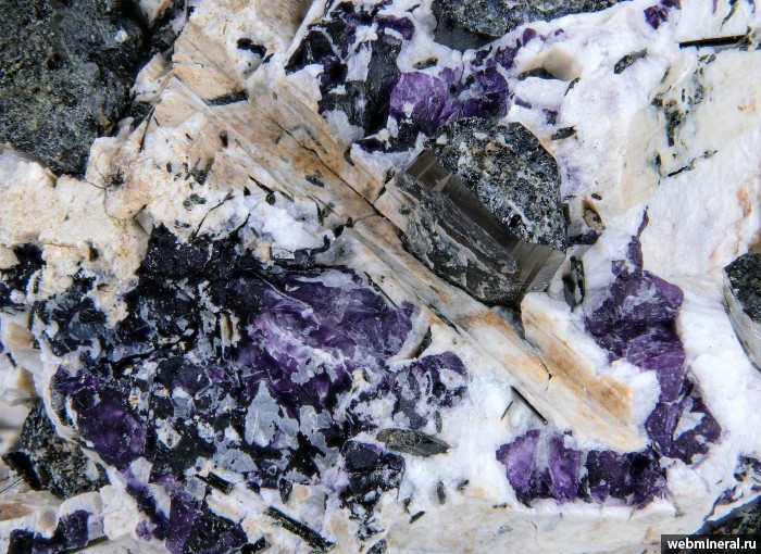 ���������� �������� �������, ������. ���� � 50.