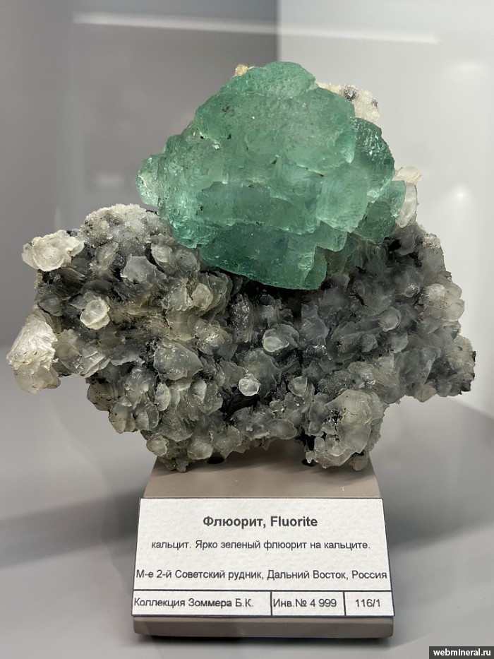 ���������� �������� �������, �������. 2-� ��������� ������.